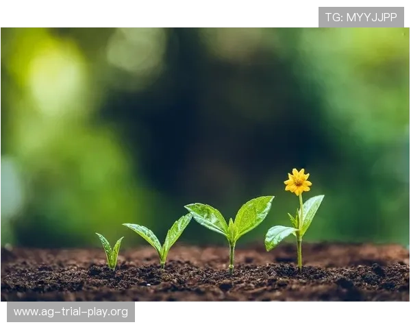 环亚ag国际登录积极响应国家政策推动行业健康发展打造绿色安全的线上娱乐平台