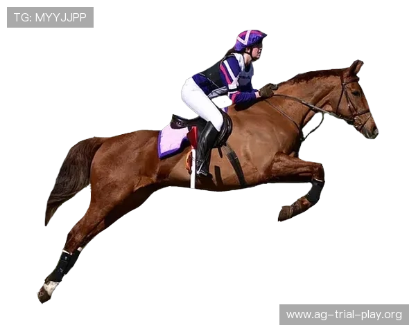 环亚ag网娱乐用户体验优化策略提升游戏流畅度与用户满意度